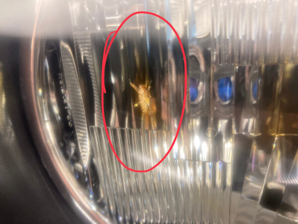 1999-2001 BMW Z3 Driver Side Headlight / OEM /Z3031 - Image 5