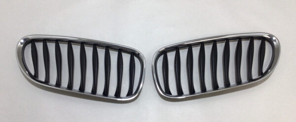 2003-2008 E85 E86 BMW Z4 Front Bumper Grilles / Kidney Grilles / Z4041