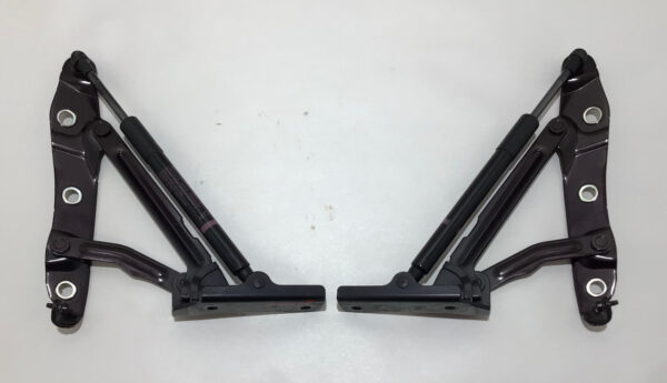 2010-2020 Nissan 370Z Convertible Trunk Hinges w/ Shocks / Black Cherry Metallic 7Z017 - Image 2