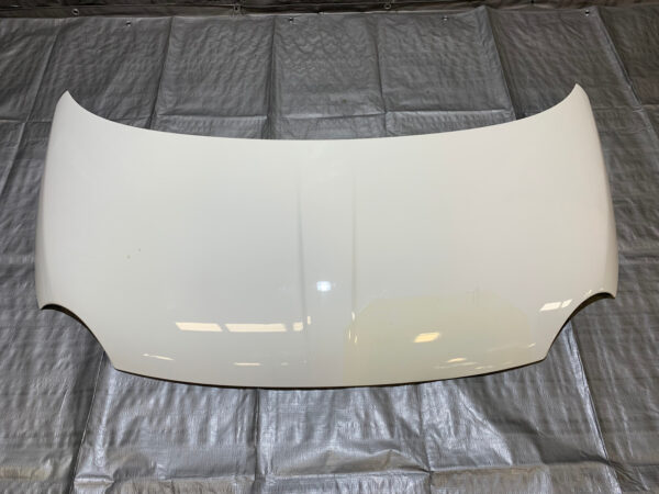 2012-2017 Fiat 500 Abarth OEM Hood Panel / DAMAGE / F5013